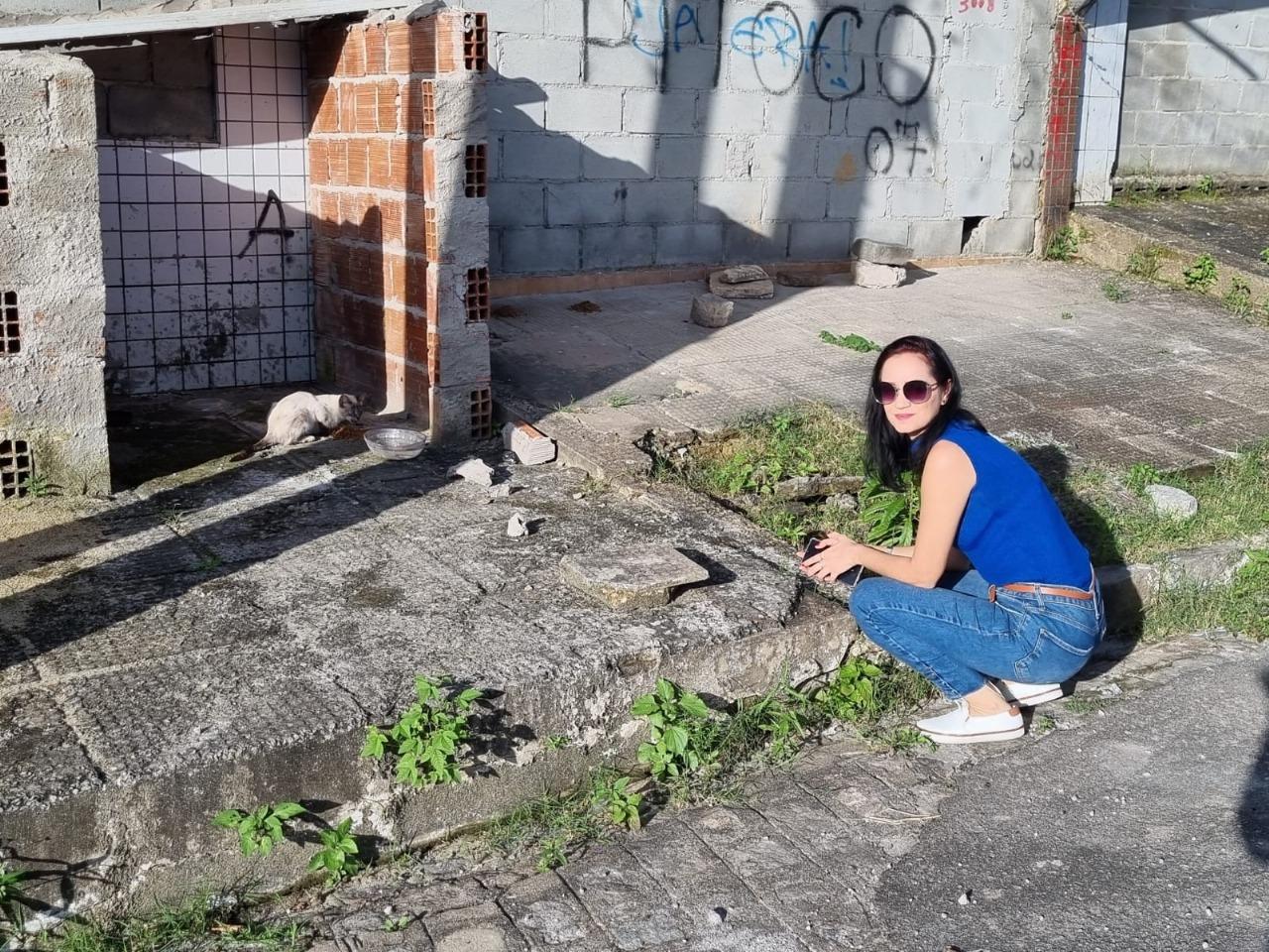 Entre gatos e rachaduras...